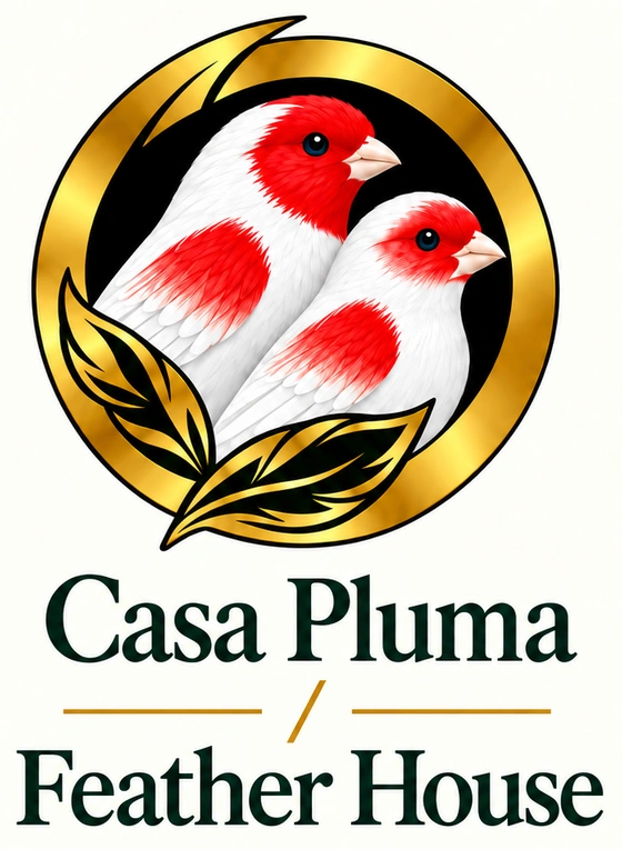 Casa Pluma / Feather House